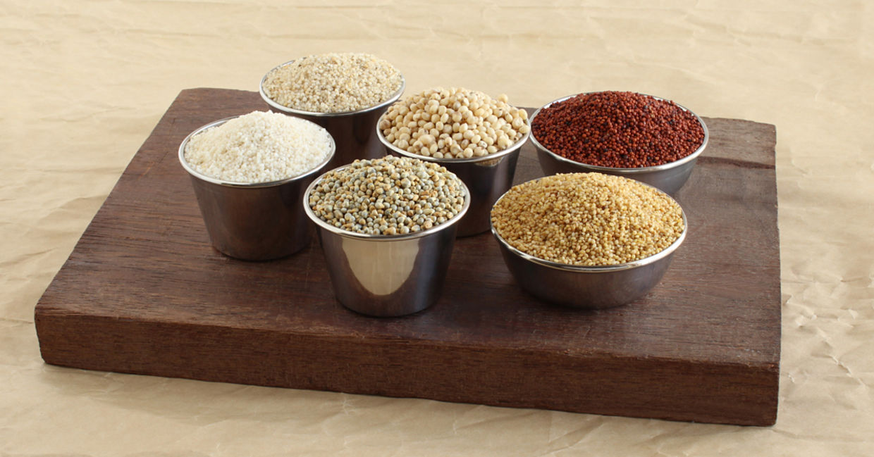 Different varieties of millet. Different varieties of millet.