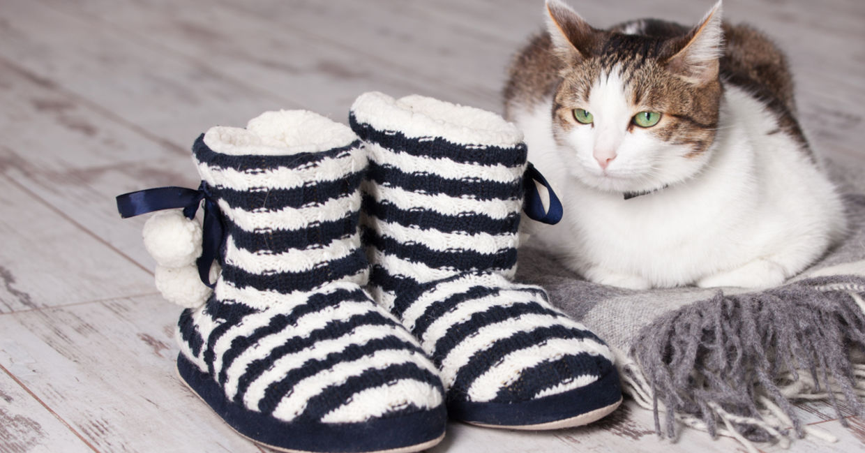 keep your feet warm with furry lined slippers. keep your feet warm with furry lined slippers.