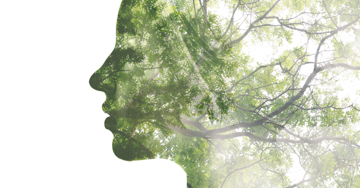 Double exposure portrait to illustrate trees boosting thought Double exposure portrait to illustrate trees boosting thought