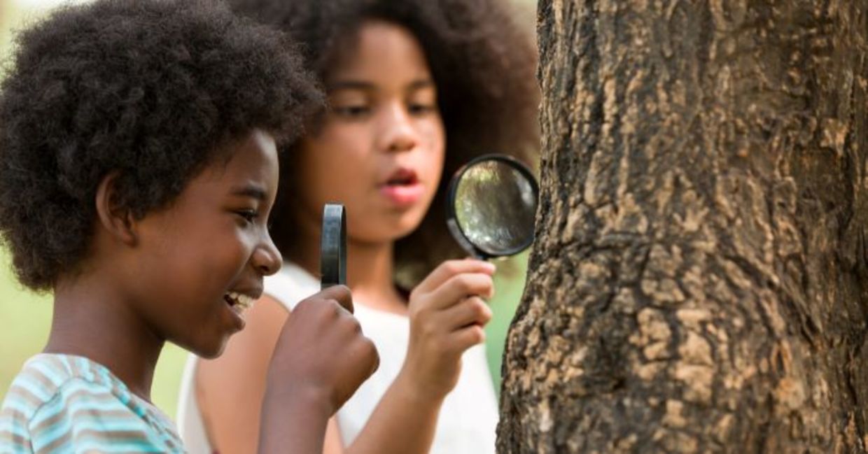 Happy children examining tree stem Happy children examining tree stem