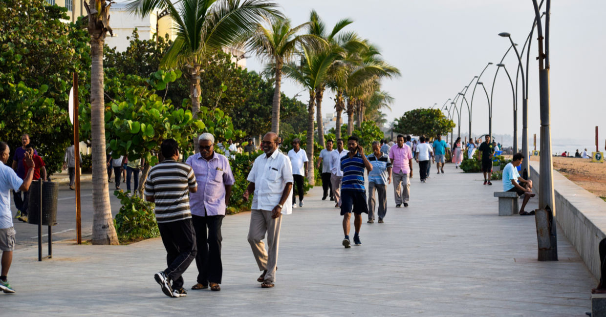 People walking on pathway surrounded by trees People walking on pathway surrounded by trees