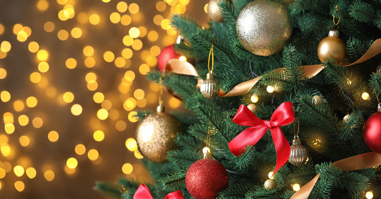 A decorated Christmas tree. A decorated Christmas tree.