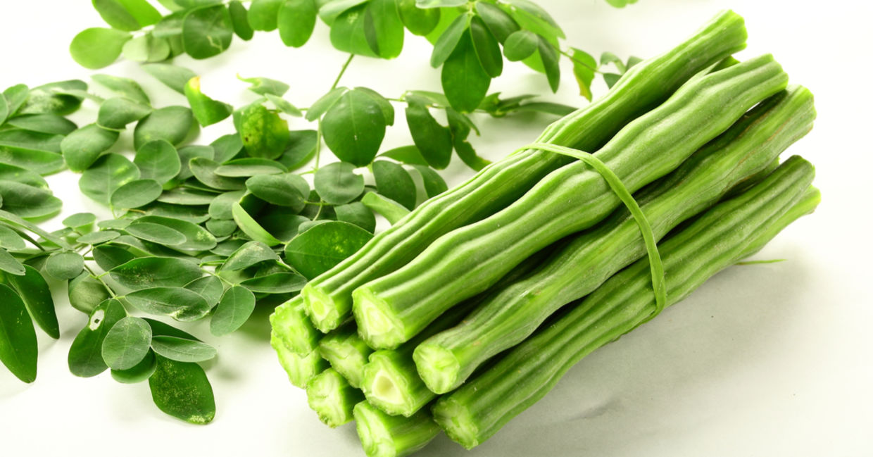 Just harvested moringa oleifera . Just harvested moringa oleifera .