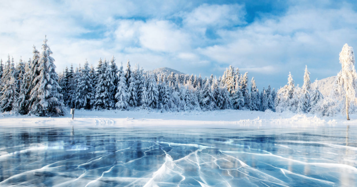 A frozen lake with snow-covered pine trees. A frozen lake with snow-covered pine trees.