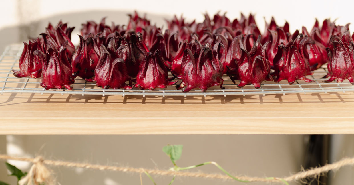 Sun dried fresh roselle (Hibiscus sabdariffa), food coloring and ingredient in beverages, Herbal medicine for reduction in blood pressure. Sun dried fresh roselle (Hibiscus sabdariffa), food coloring and ingredient in beverages, Herbal medicine for reduction in blood pressure.