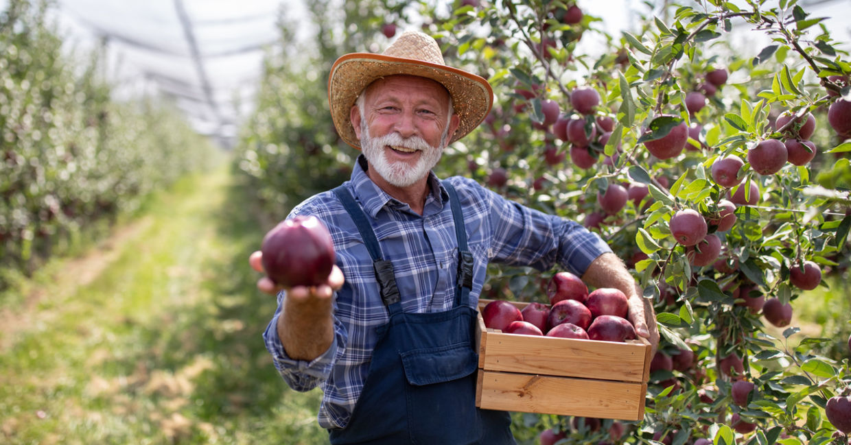 Farmer Farmer