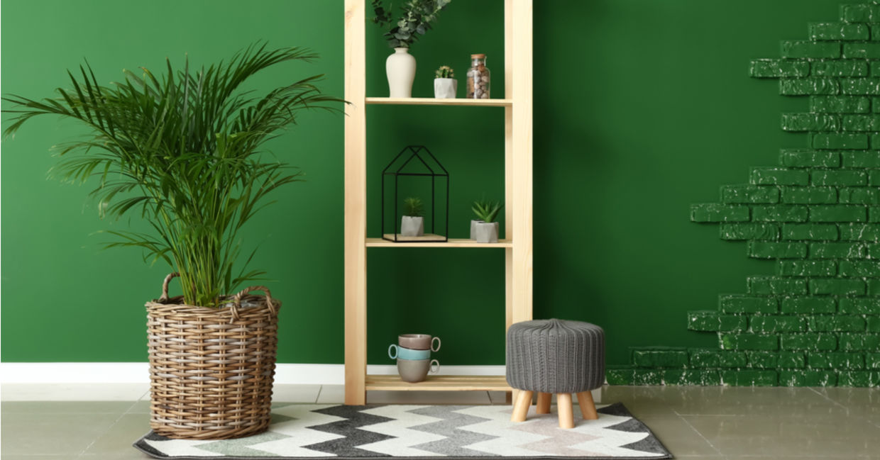 An accent wall painted a deep forest green wall and a potted palm add natural calm to a room. An accent wall painted a deep forest green wall and a potted palm add natural calm to a room.
