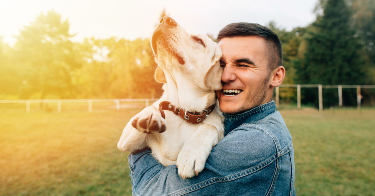 Petting a dog is calming. Petting a dog is calming.