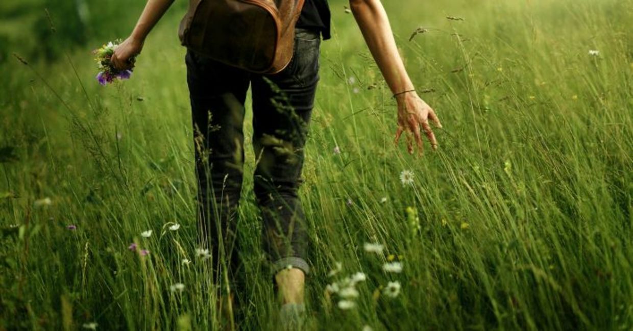 Walking in nature Walking in nature