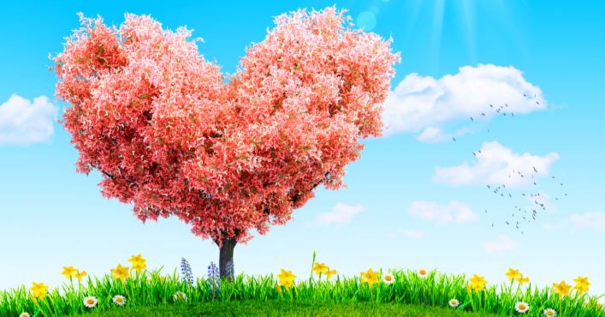 Green grass and spring flowers by tree in the shape of a heart to represent giving help to others. Green grass and spring flowers by tree in the shape of a heart to represent giving help to others.