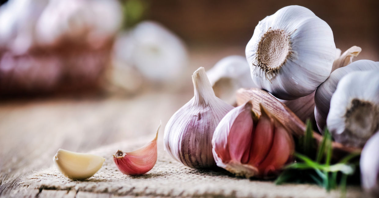 Garlic is a very healthy food. Garlic is a very healthy food.