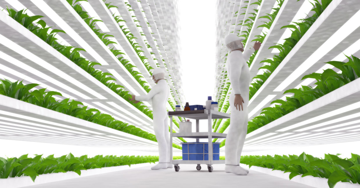 Illustration of a vertical farm. Illustration of a vertical farm.