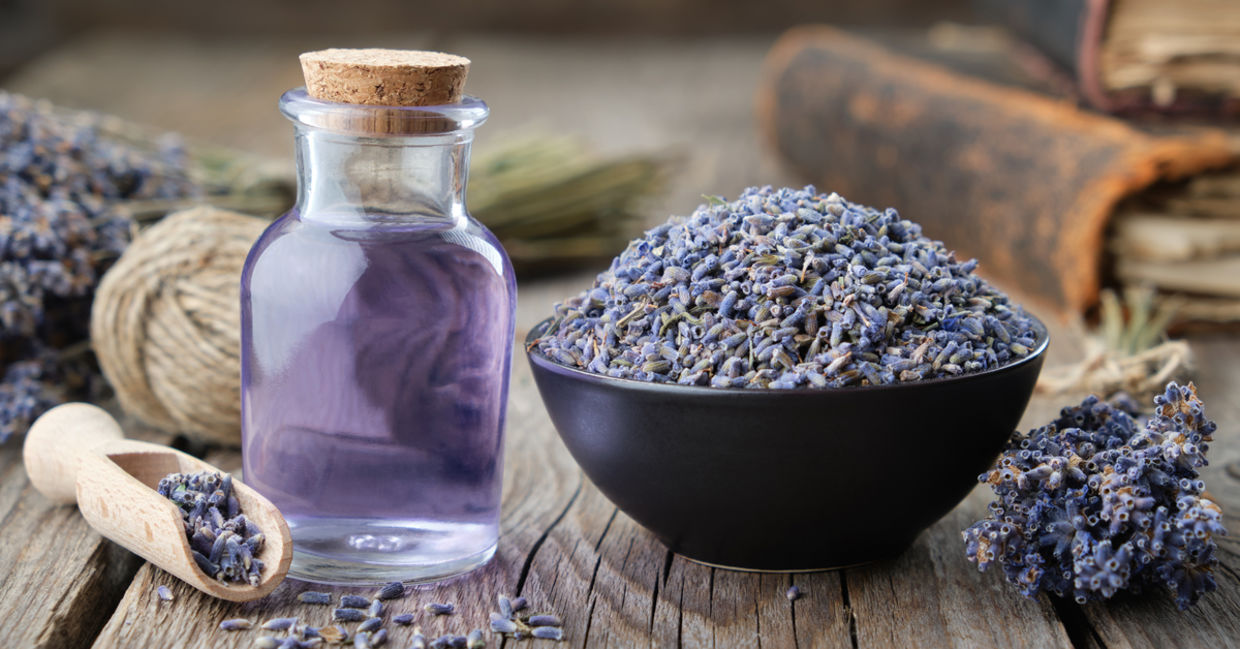 Lavender essential oil is calming and can help you sleep. Lavender essential oil is calming and can help you sleep.