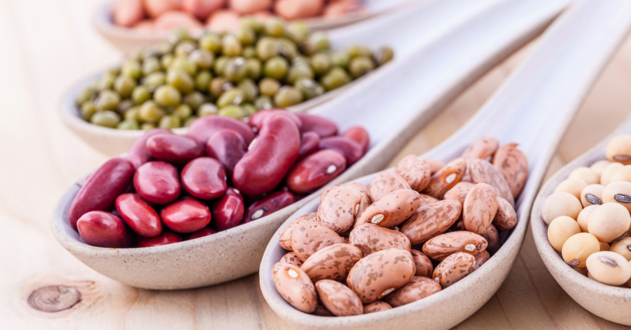 Beans contain the amino acids you need to produce collagen. Beans contain the amino acids you need to produce collagen.