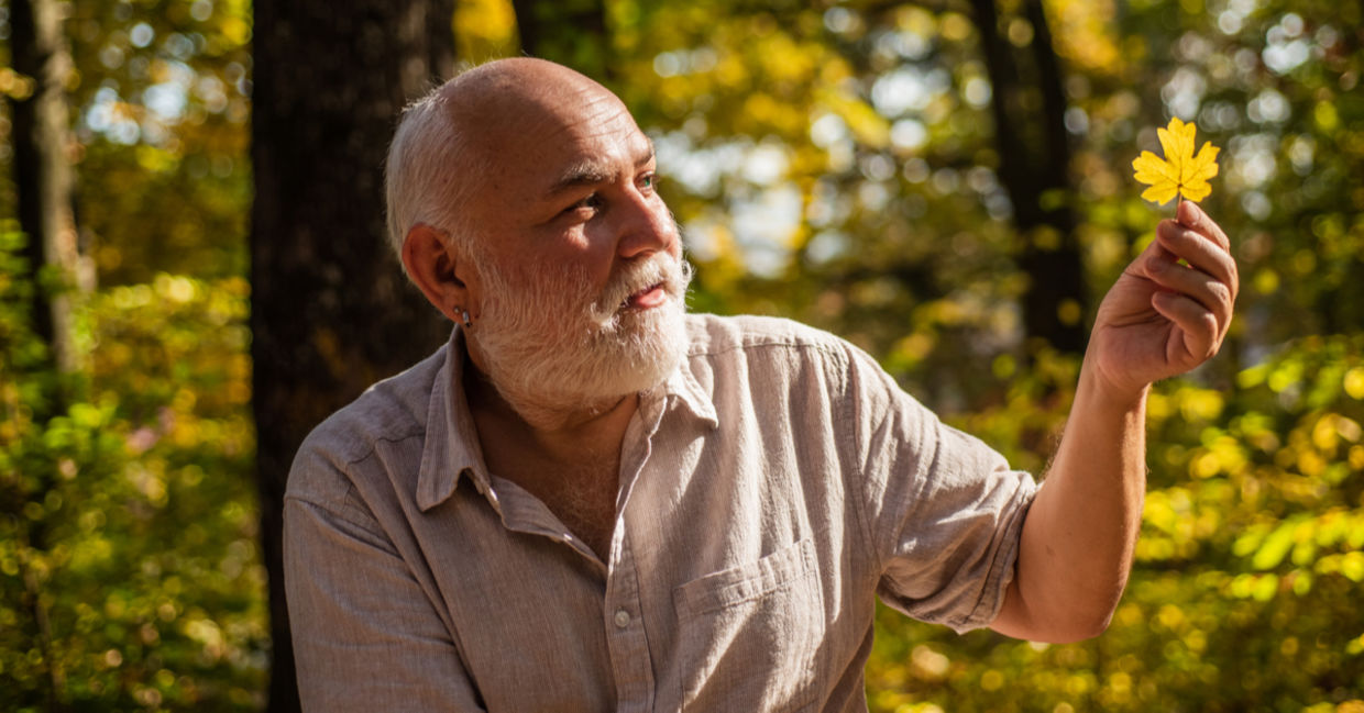 Cheerful senior walking in the forest on a sunny day and appreciating nature. Cheerful senior walking in the forest on a sunny day and appreciating nature.
