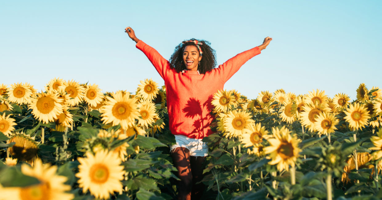 A woman joyfully walks through a field of sunflowers. A woman joyfully walks through a field of sunflowers.