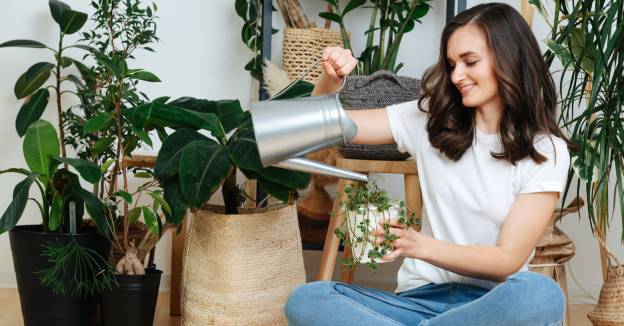 A woman sits on the floor caring for her houseplants. A woman sits on the floor caring for her houseplants.