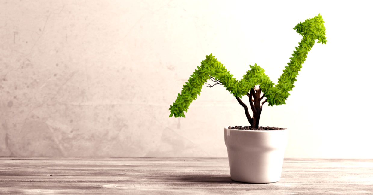 Small potted plant shaped like a rising indicator. Small potted plant shaped like a rising indicator.