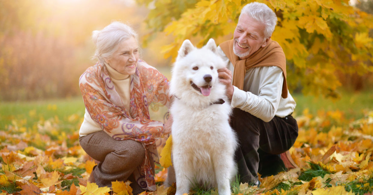 Pets make people less lonely. Pets make people less lonely.