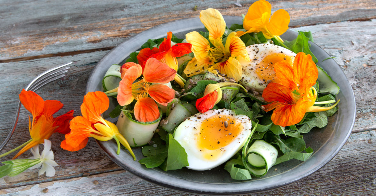 A plate of salad green from an edible lawn, including nasturtium flowers. A plate of salad green from an edible lawn, including nasturtium flowers.