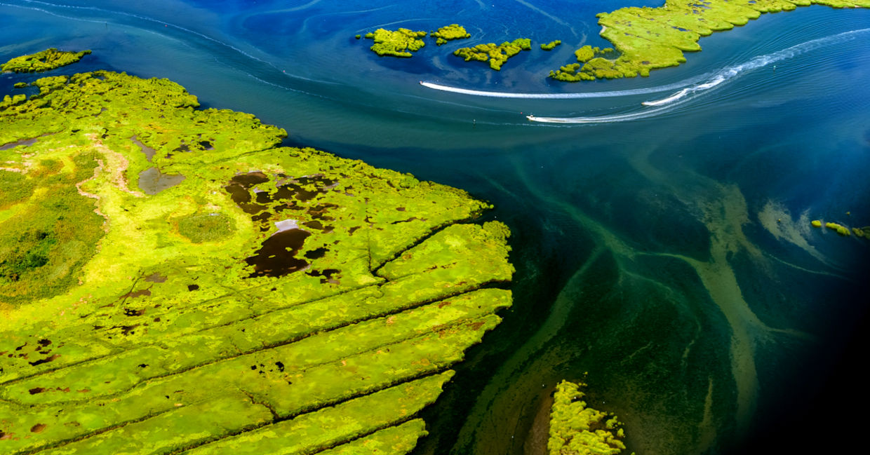 Wetlands near JFK Airport, New York, USA. Wetlands near JFK Airport, New York, USA.
