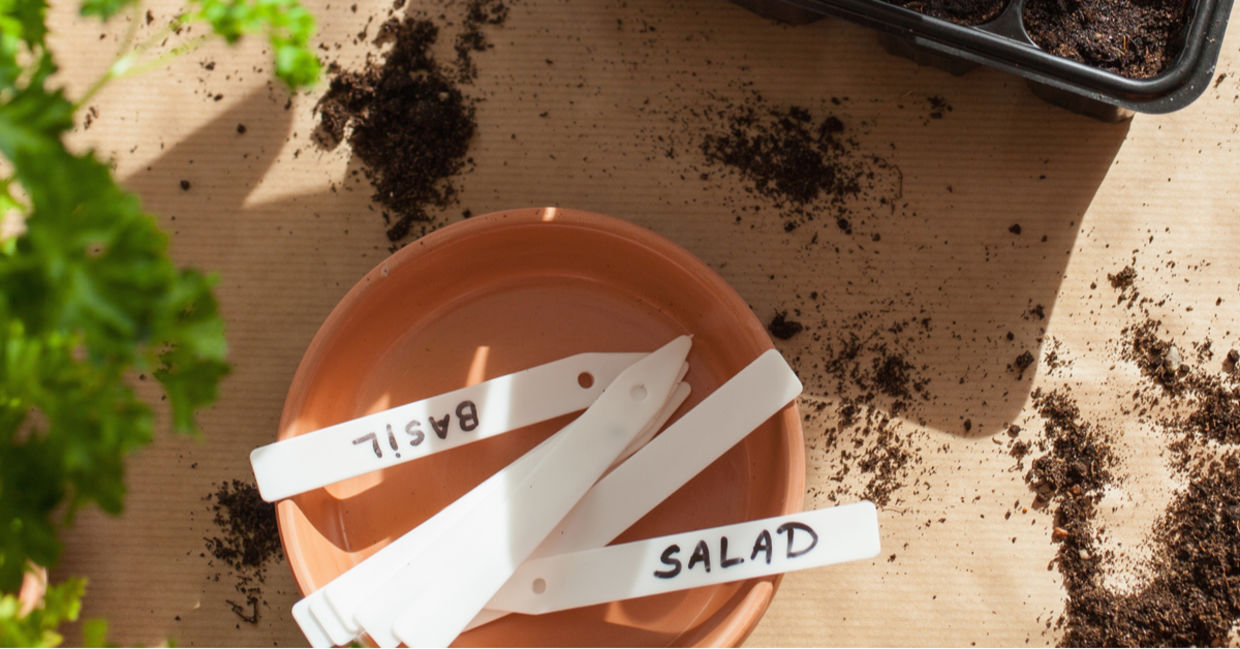Using plastic labels when planting seeds. Using plastic labels when planting seeds.