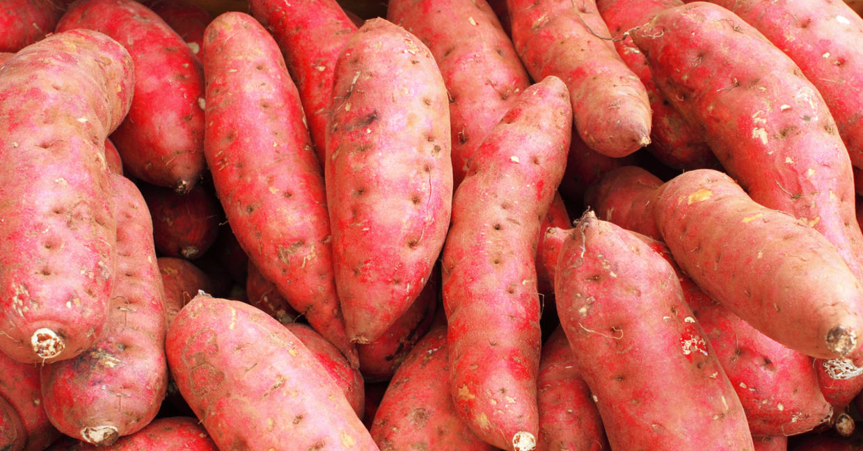 This bright orange vegetable is bursting with health benefits. This bright orange vegetable is bursting with health benefits.