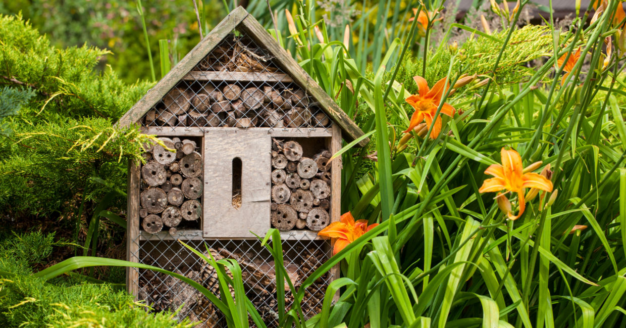A bee hotel in a garden hosts pollinators. A bee hotel in a garden hosts pollinators.