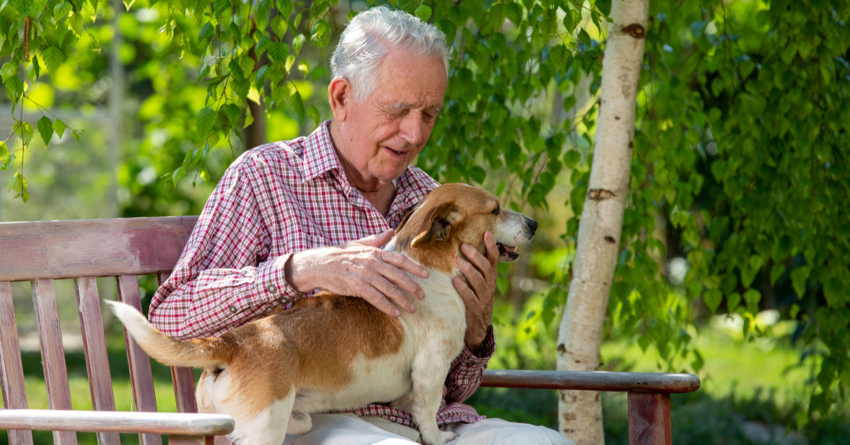 Senior man cuddling a dog outside. Senior man cuddling a dog outside.