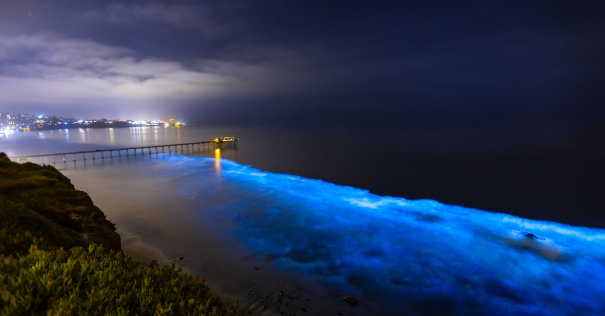 Bioluminescence at San Diego Coast. Bioluminescence at San Diego Coast.