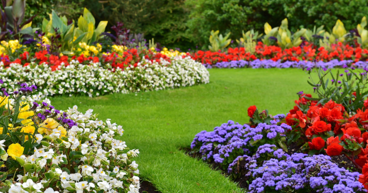 Beautiful weed-free yard. Beautiful weed-free yard.