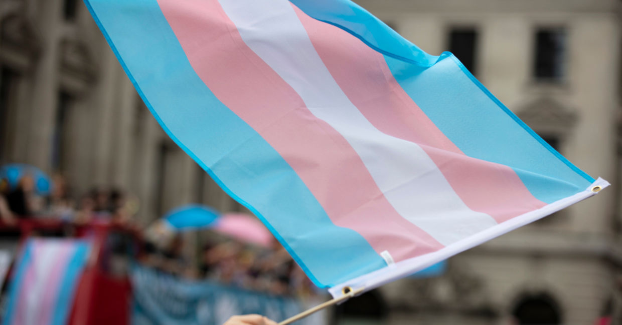 Waving the transgender flag at a Gay Pride parade. Waving the transgender flag at a Gay Pride parade.