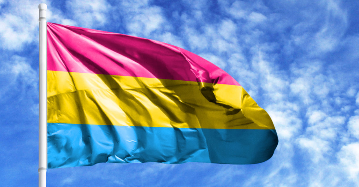 Flying the pan sexual flag on a flagpole. Flying the pan sexual flag on a flagpole.