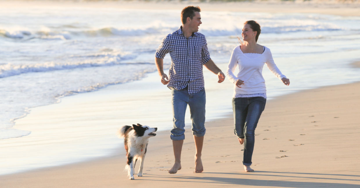 A couple runs along the beach with their dog. A couple runs along the beach with their dog.