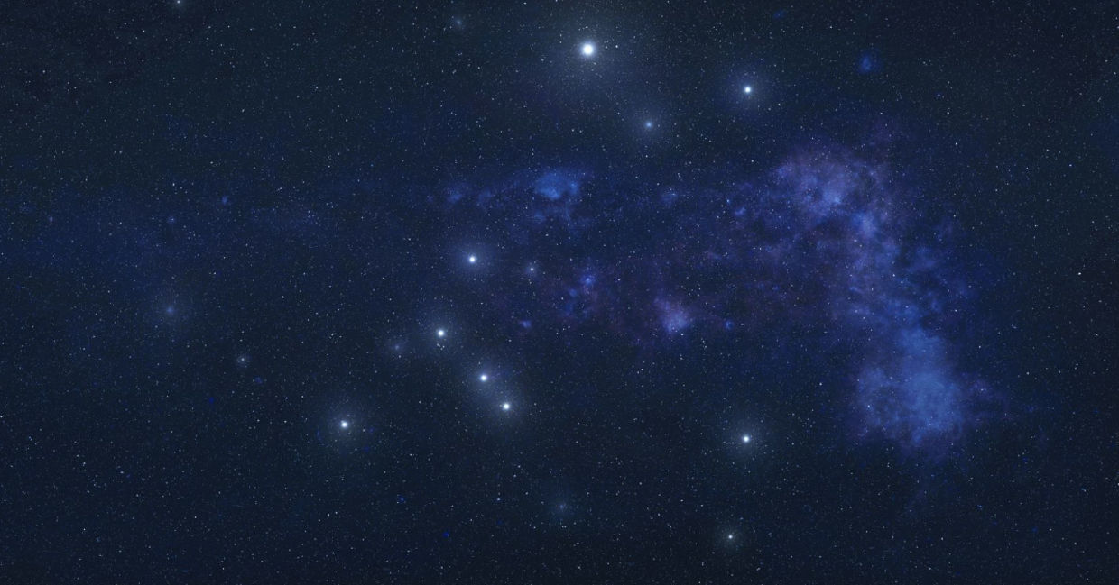The Great Dog constellation is seen in the summer sky. The Great Dog constellation is seen in the summer sky.