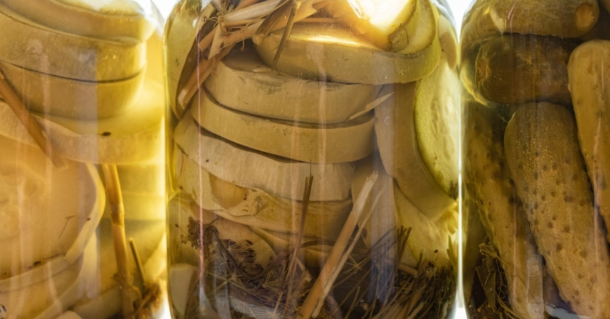 Fermented zucchini. Fermented zucchini.