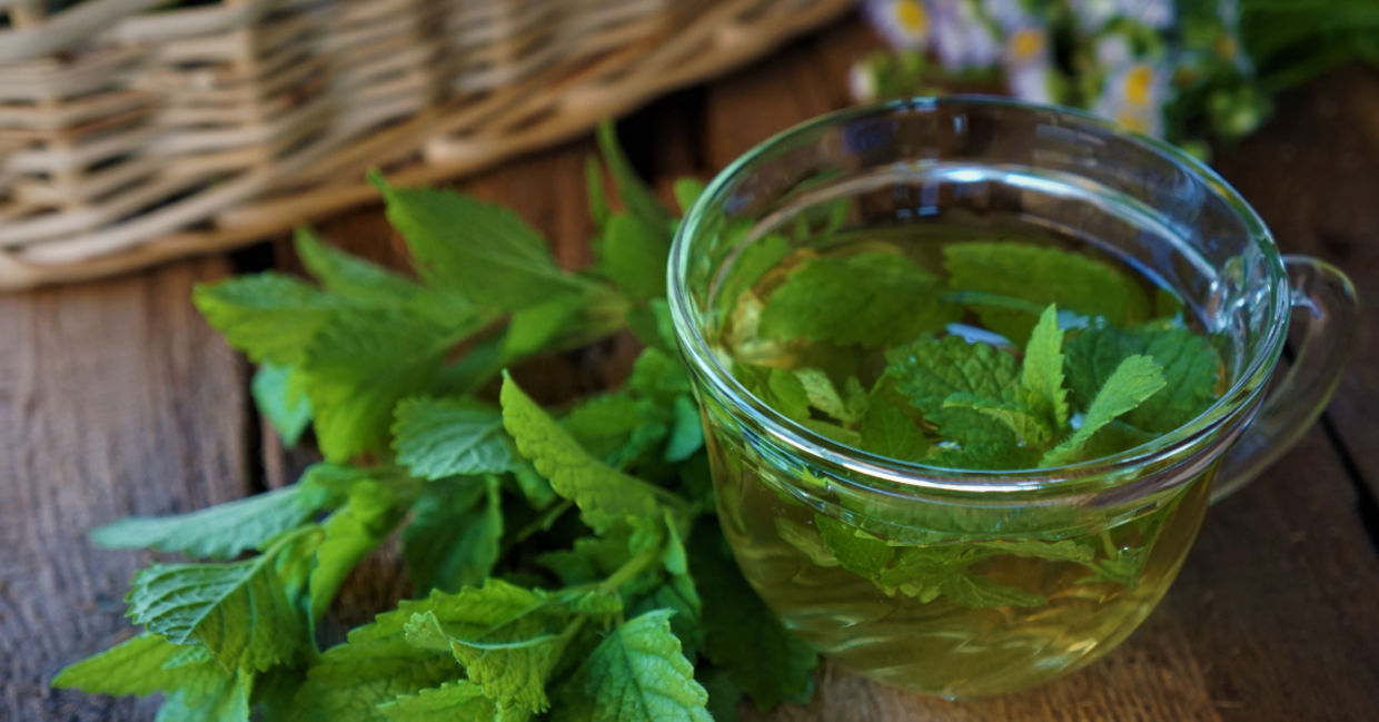 Lemon balm tea promotes calm. Lemon balm tea promotes calm.