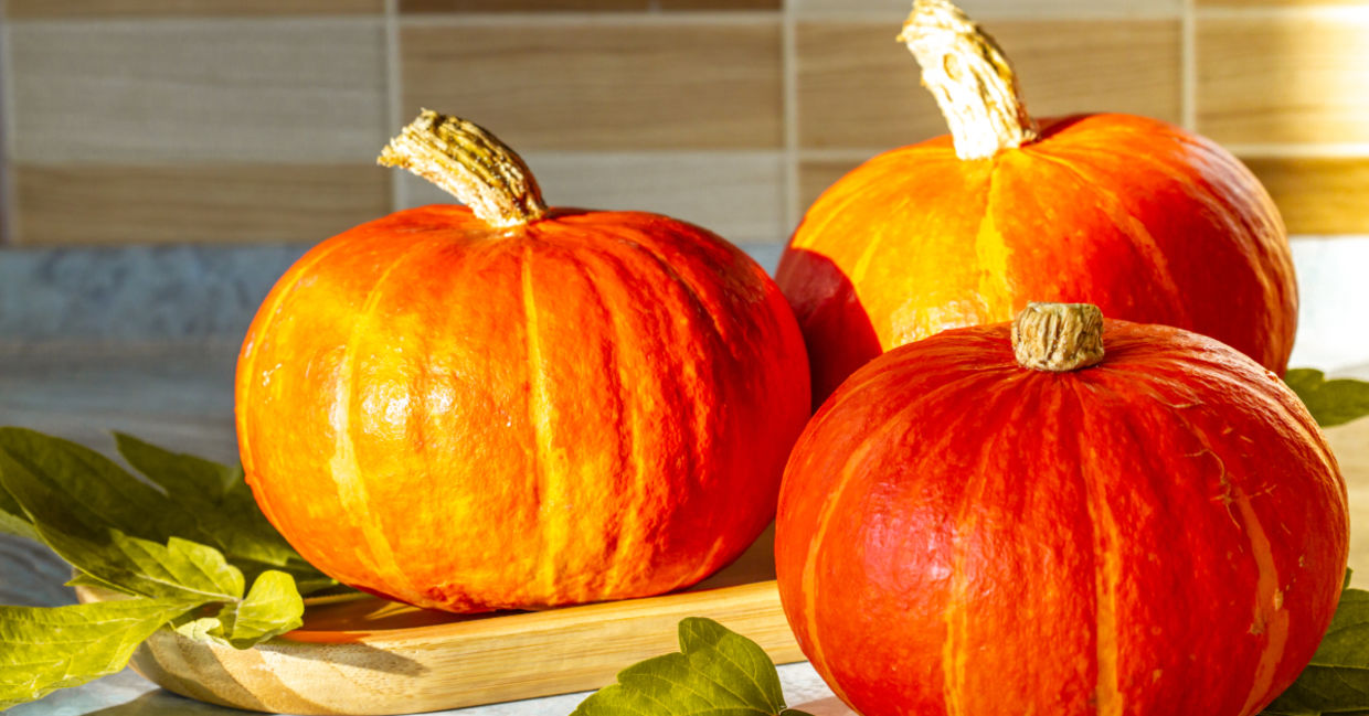 Fall is the season for pumpkins. Fall is the season for pumpkins.