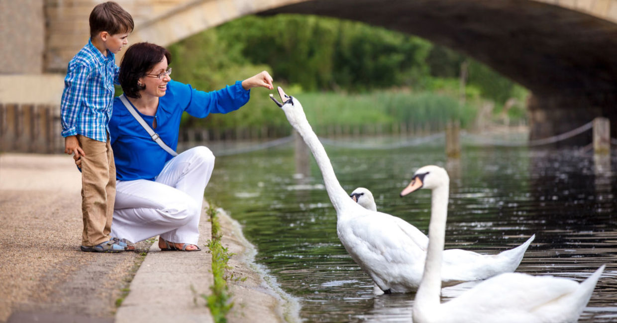 Spending time in nature is good for mental health. Spending time in nature is good for mental health.