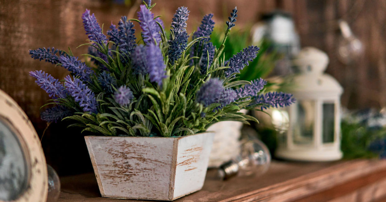 Keep lavender by your bed to help relax you. Keep lavender by your bed to help relax you.