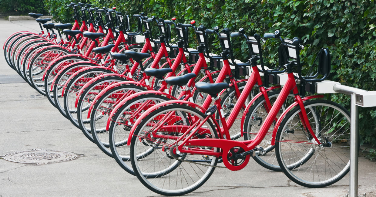 Bicycles for rent.