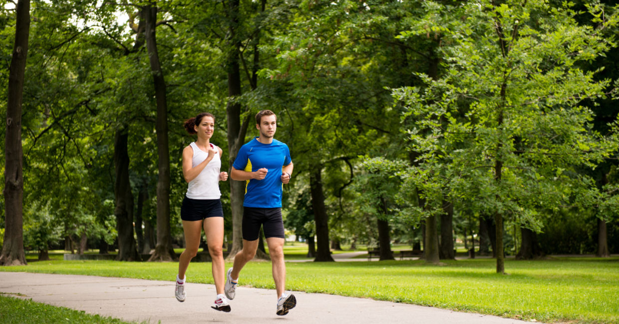 Exercise in the park. Exercise in the park.