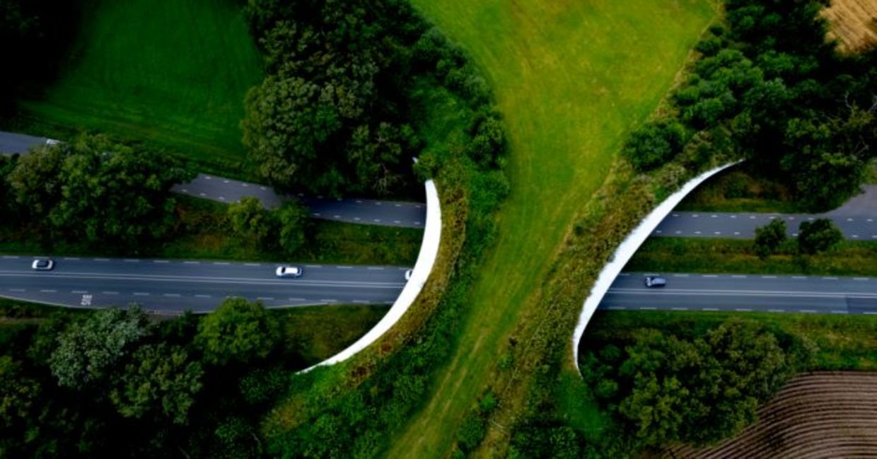 Freeway passing underneath wildlife crossing forming a safe natural corridor bridge for animals to migrate between conservancy areas. Freeway passing underneath wildlife crossing forming a safe natural corridor bridge for animals to migrate between conservancy areas.