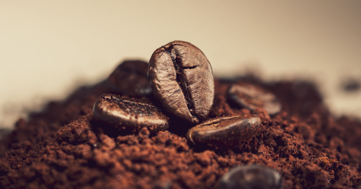 Coffee beans.