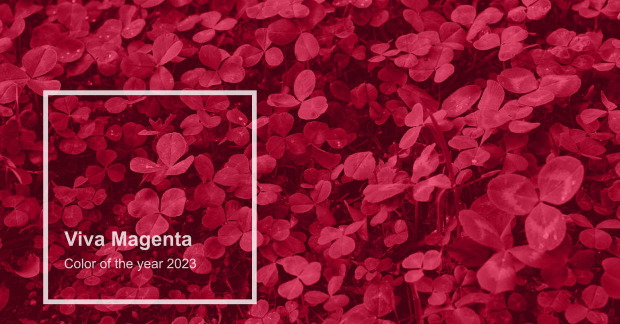 viva Magenta is the color of the year