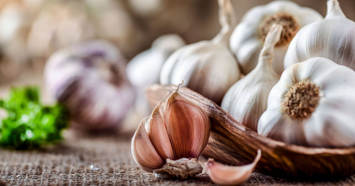 Garlic can help boost your immune system. Garlic can help boost your immune system.