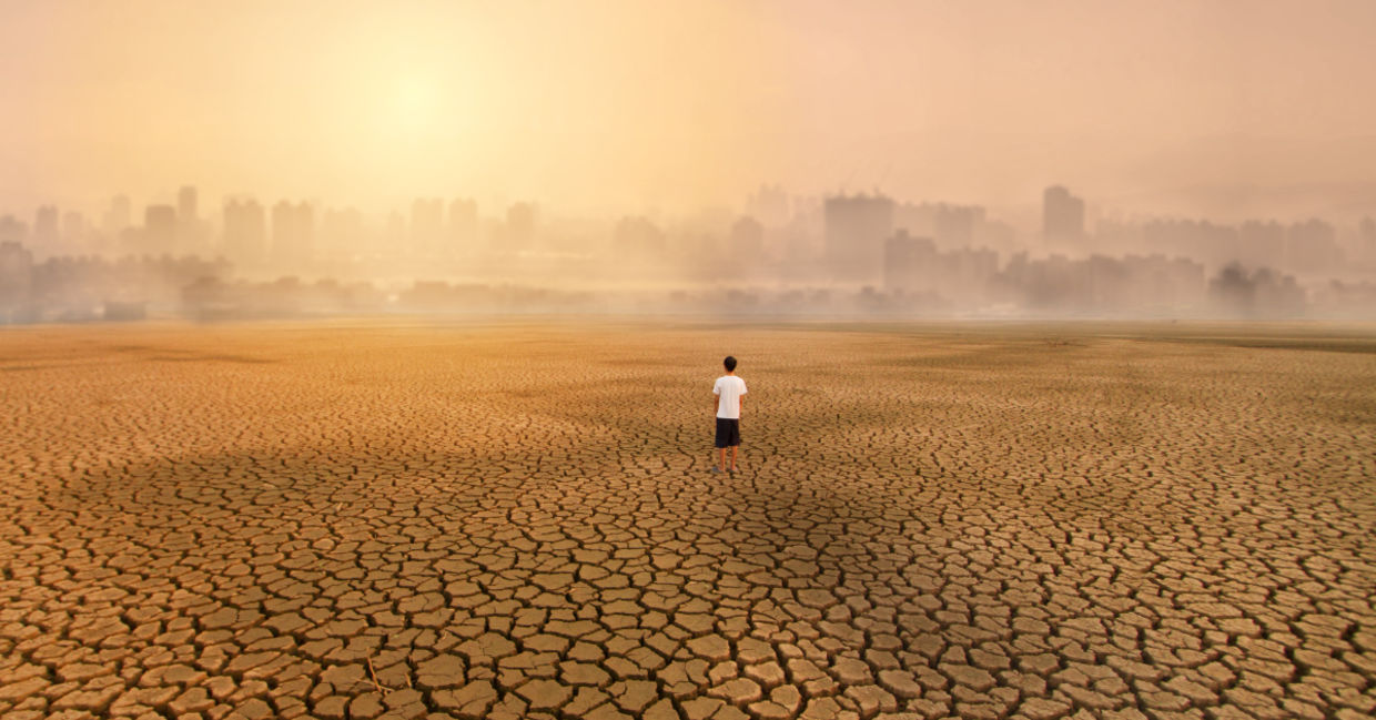 Dry land.