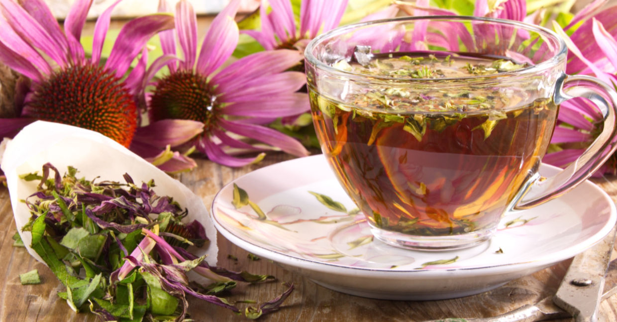 This popular herb is used in natural healing. This popular herb is used in natural healing.