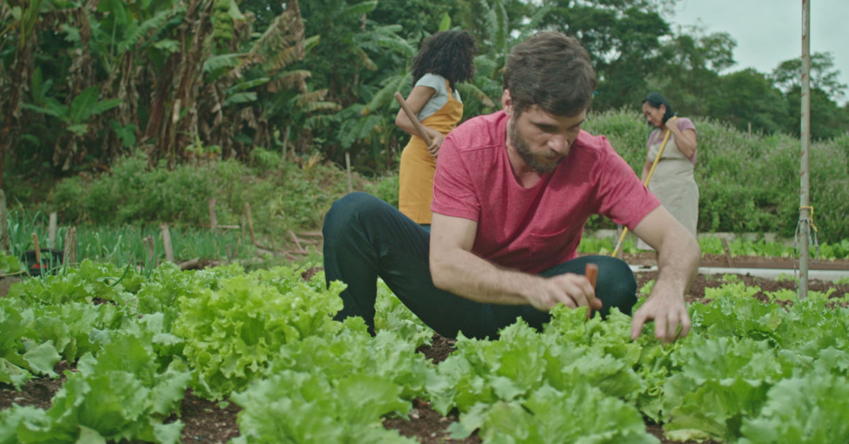 Organic farm. Organic farm.