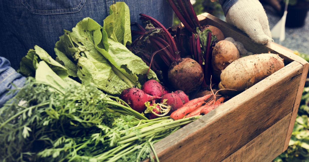 Fresh vegetables.